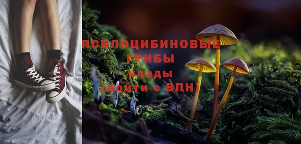 дмт Армянск