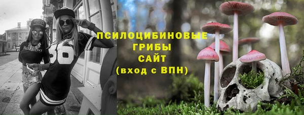 крисы Аркадак