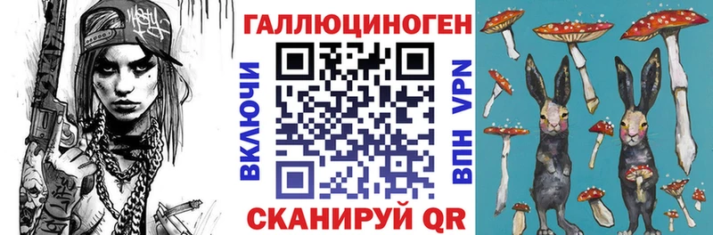 Псилоцибиновые грибы Cubensis  Купить  Дятьково 